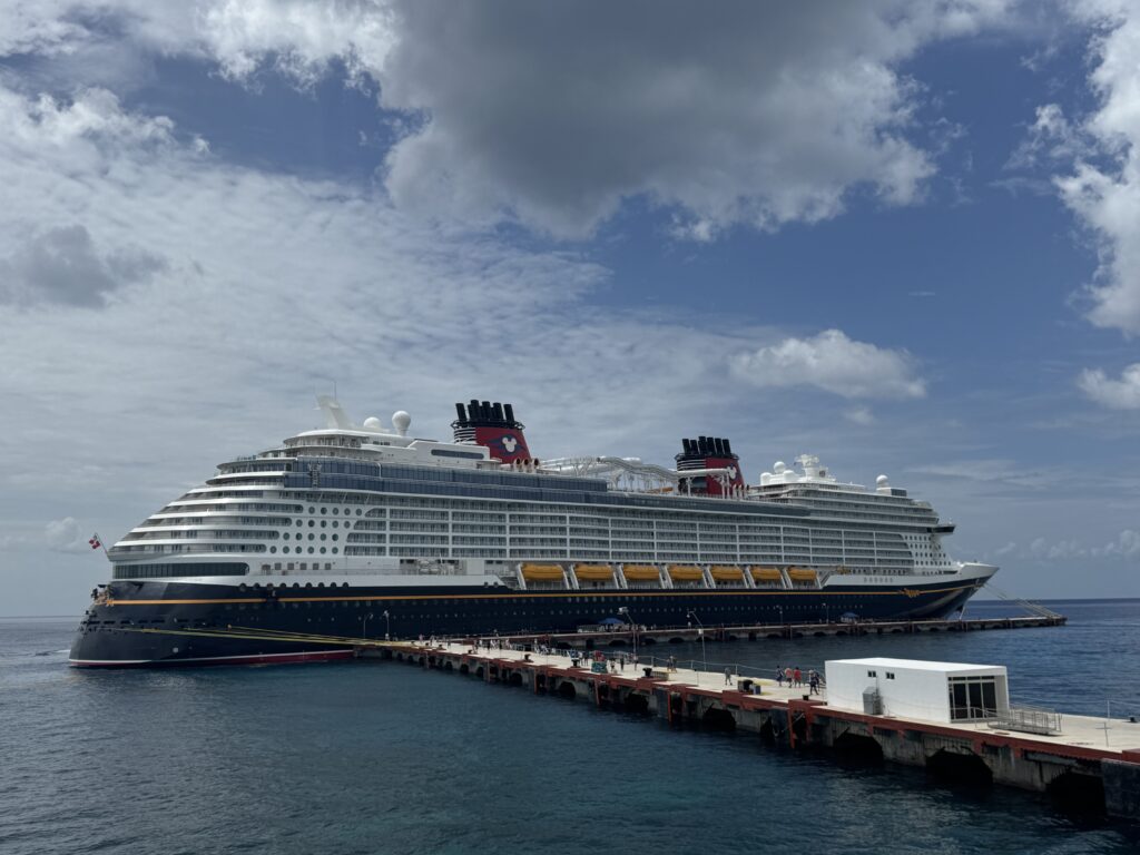 Disney Treasure Cruise
